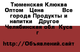 Тюменская Клюква Оптом › Цена ­ 200 - Все города Продукты и напитки » Другое   . Челябинская обл.,Куса г.